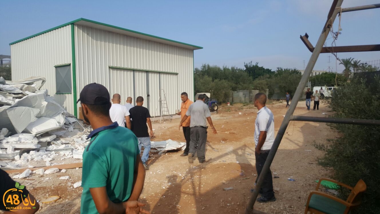 WhatsApp Image 2017-08-09 at 07.56.44.jpeg